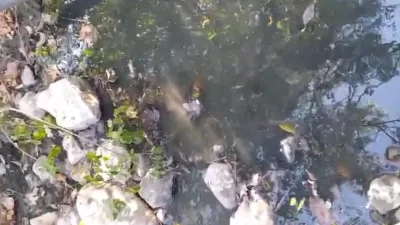 Bursa’nın Orhangazi ilçesine bağlı Yeniköy mahallesinde, bölgedeki çiftçilerin yıllardır sulama