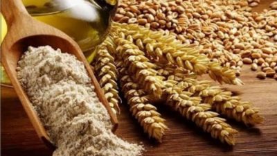 Bursa Büyükşehir Belediyesi, Kırsal Hizmetler Dairesi Başkanlığı koordinasyonunda, Bursa Büyükşehir