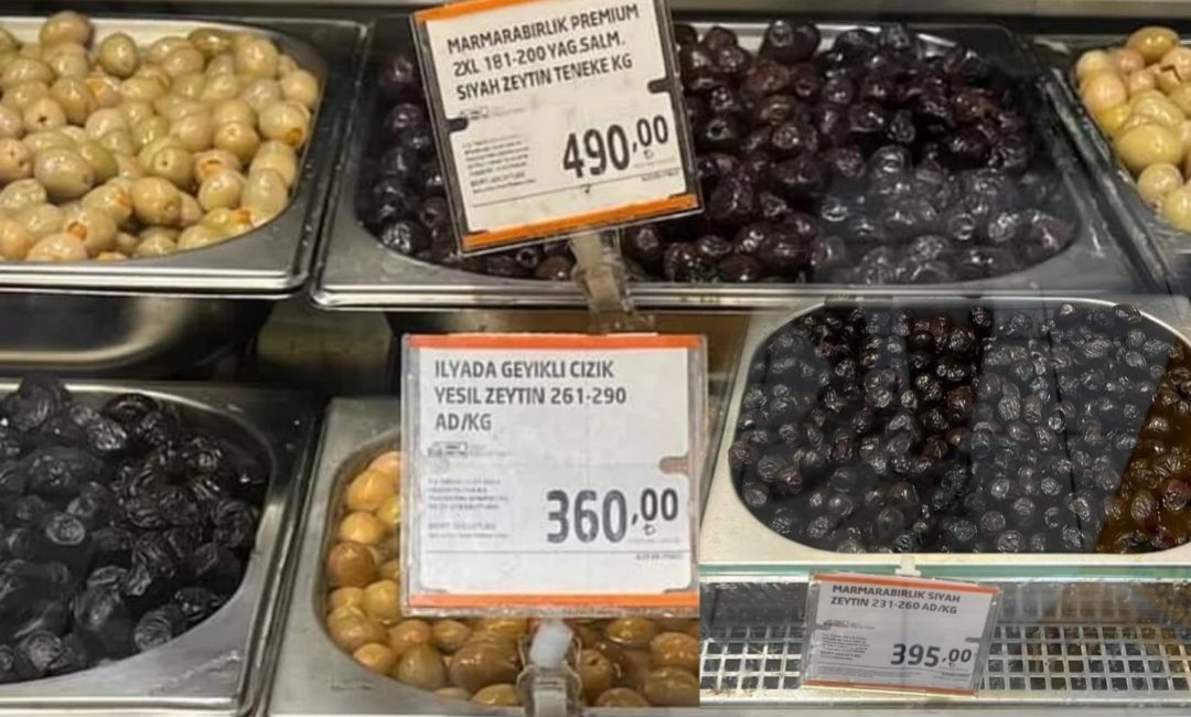 Türkiye'nin en büyük zeytin