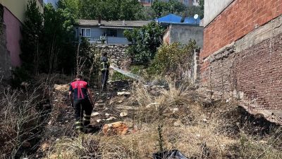 Bursa’nın Orhangazi ilçesinde evlerin arasında kalan boş ve otluk bir