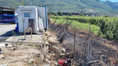 Bursa'nın Orhangazi ilçesinde faaliyet gösteren bir turşu fabrikasının hemen yanında