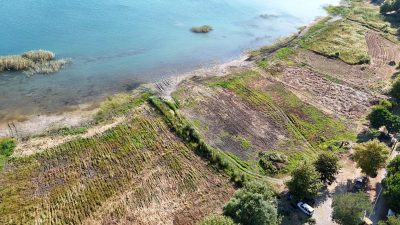 İznik Gölü'nde başta yağış yetersizliği ve işletmelerin göl ile kaynaklarından