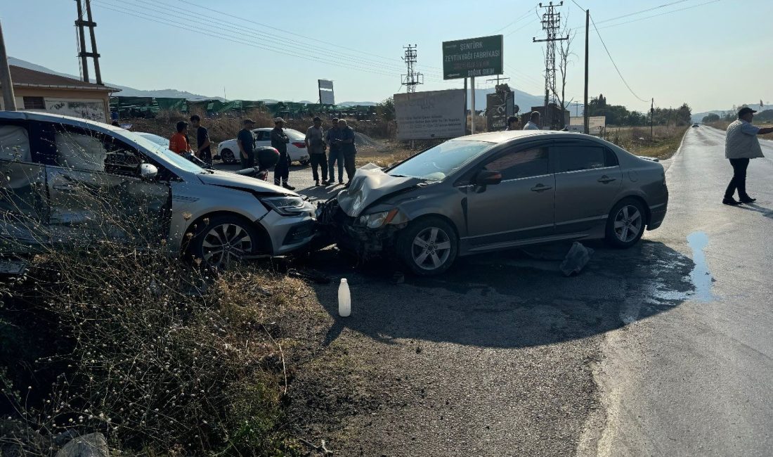 Bursa'nın Orhangazi ilçesinde meydana