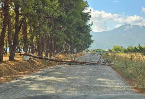 Bursa'nın Orhangazi ilçesinde yaşanan