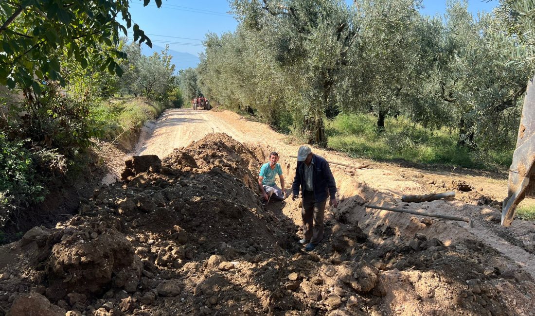 Orhangazi Belediyesi, ilçenin genelinde