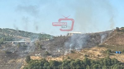 Bursa'da Gemlik ile Orhangazi arasında kalan dağlık bir bölgede çıkan