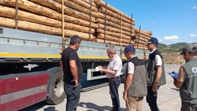 Bursa Orman Bölge Müdürlüğü Orman Zararlıları ile Mücadele Şube Müdürü