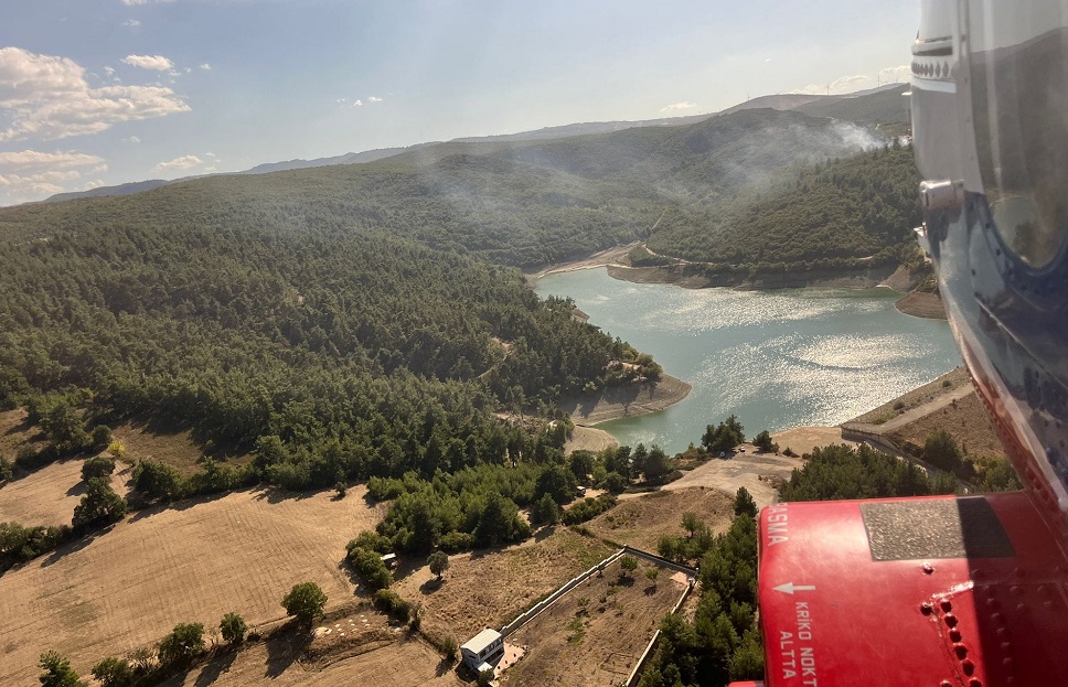 Bursa'nın Nilüfer ilçesinde Ormanlık