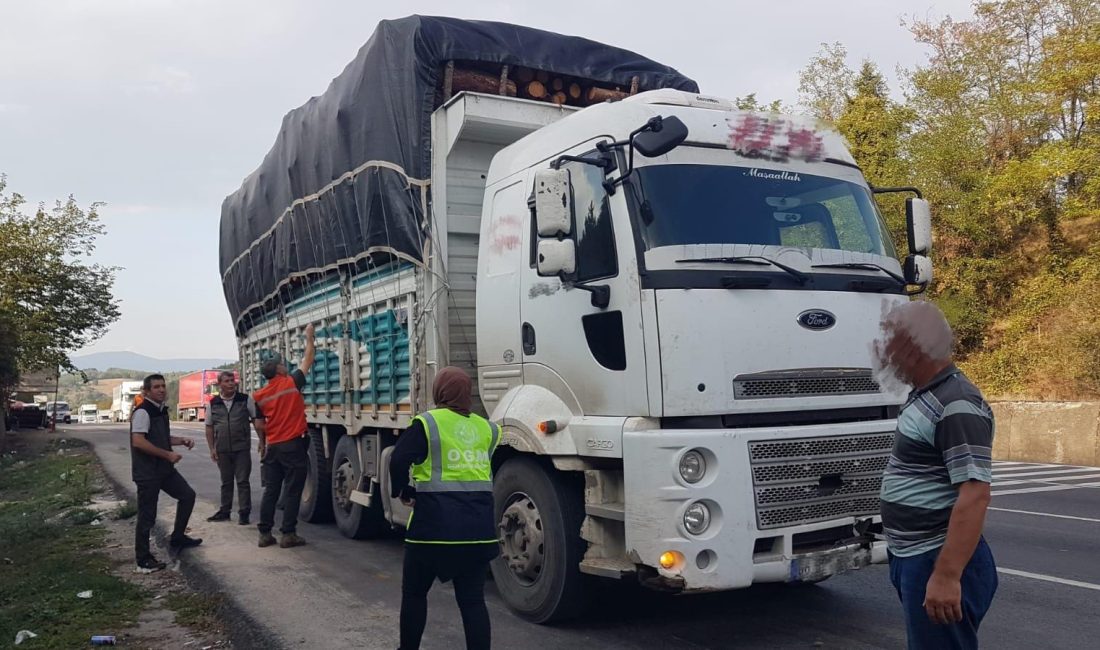 Bursa'da orman suçu ve