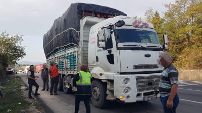 Bursa'da orman suçu ve Ormanlardan kaçak kesim yapılmasına karşı, Bursa
