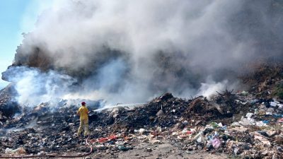 Bursa'da Orhangazi - İznik yolu üzerinde bulunan bir çöplükte çıkan