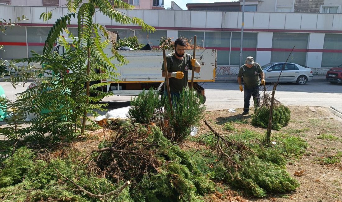 Orhangazi Belediyesi, çevre temizliği