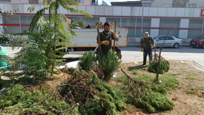 Orhangazi Belediyesi, çevre temizliği ve sosyal yardımlaşma çalışmaları yapıyor. Bu