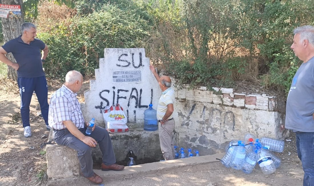 Bursa'nın Orhangazi ilçesinde bulunan