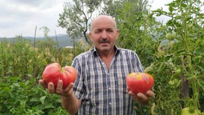 Bursa'nınn Orhangazi ilçesinde yaşayan  67 yaşındaki Salih Atasoy isimli çiftçi