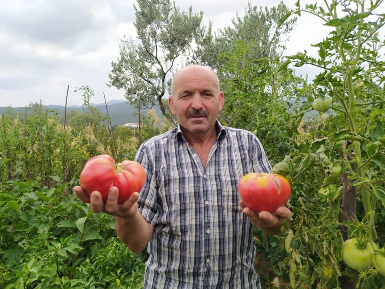 Bursa'nınn Orhangazi ilçesinde yaşayan 