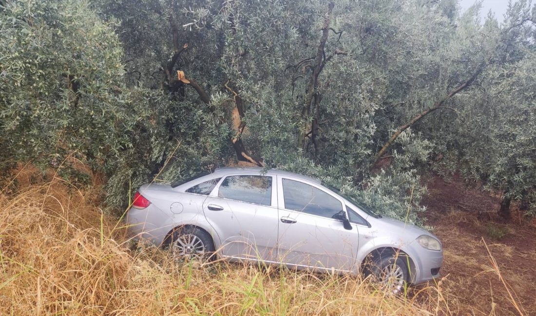 Bursa’nın Orhangazi ilçesinde yağışlı