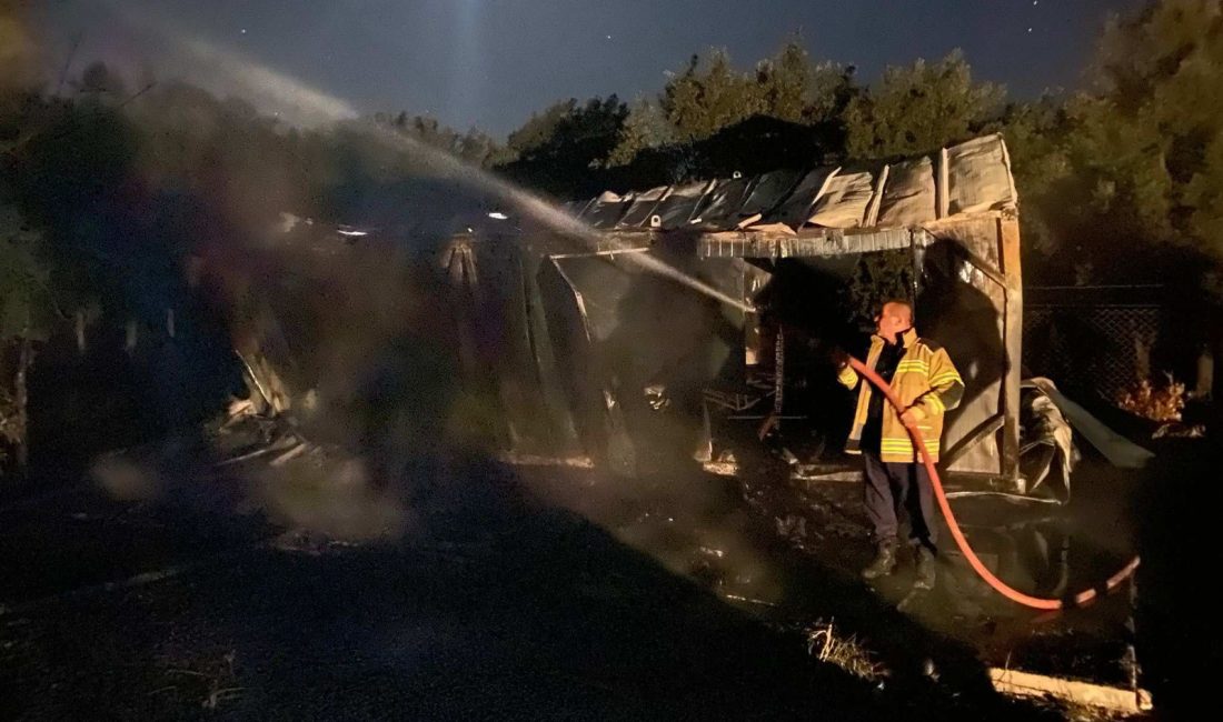 Bursa'nın Orhangazi ilçesinde dün