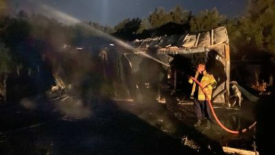 Bursa'nın Orhangazi ilçesinde dün gece saatlerinde meydana gelen olayda zeytin