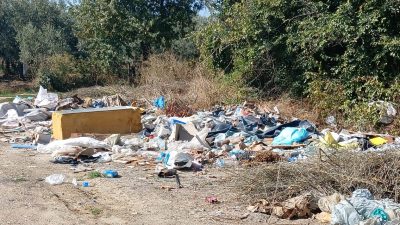 Bursa’nın Orhangazi ilçesinde ormanlık alanlar ile yol kenarlarına atılan çeşitli 