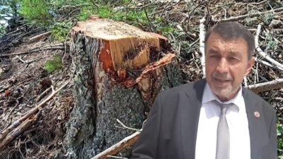 Bursa'nın Orhangazi ilçesine bağlı Kırsal Yenisölöz Mahalle Muhtarı Halil Bayram,