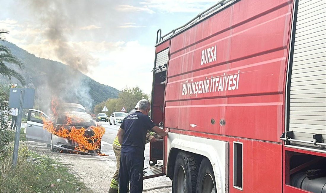 Gemlik – Orhangazi yolu