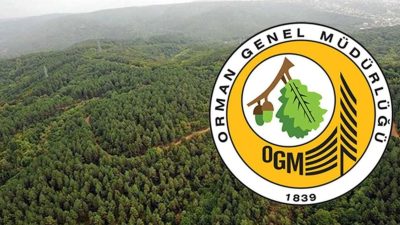 Orman Genel Müdürlüğü tarafından,  3 yıl önce Bodrum'un Muğla ilçesinde
