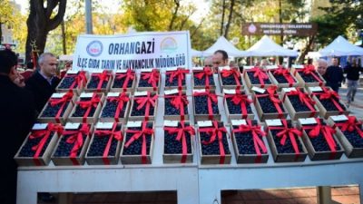 Bursa'nın Orhangazi ilçesinde yarım asırdır Cumhuriyet alanında yapılan ancak geçtiğimiz