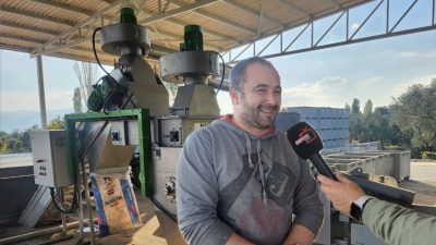 Orhangazi'nin en büyük tarımsal geçim kaynaklarından zeytinde Ekim ayı itibariyle