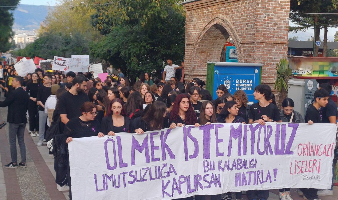 Bursa'nın Orhangazi ilçesinde bir