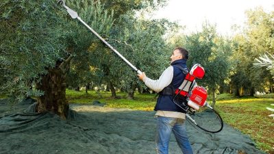 Yaklaşan zeytin hasadı öncesi bir araya gelen Bursa Ziraat odaları
