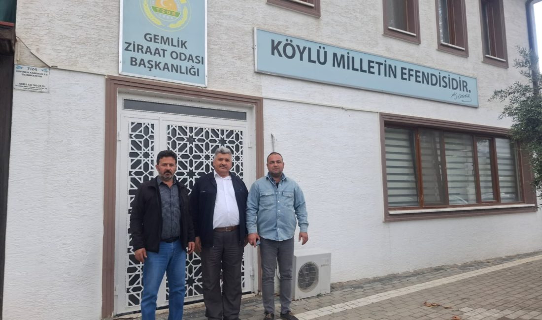 Bursa'da hasadına geçtiğimiz günler