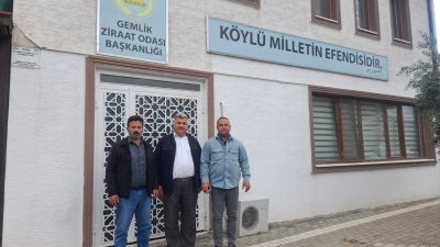 Bursa'da hasadına geçtiğimiz günler itibariyle başlanan zeytin için bir araya