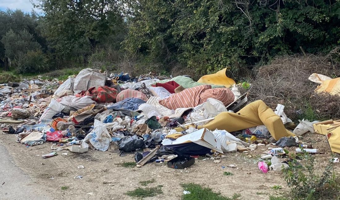 Bursa’nın Orhangazi ilçesine bağlı