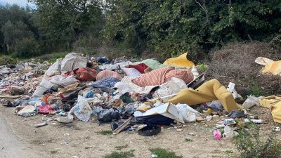 Bursa’nın Orhangazi ilçesine bağlı Çeltikçi Mahallesi yolu kenarında bulunan bir