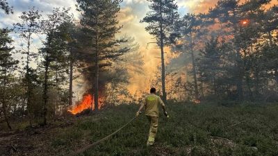 Bursa'nın Kestel ilçesinde ormanlık alanda çıkan yangın ekiplerin havadan ve