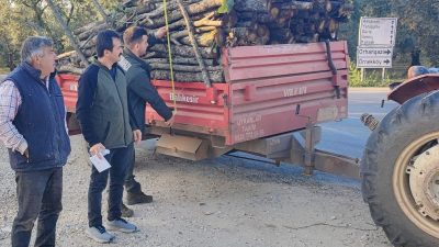 Orhangazi'de orman suçu ve Ormanlardan kaçak kesim yapılmasına karşı, Bursa