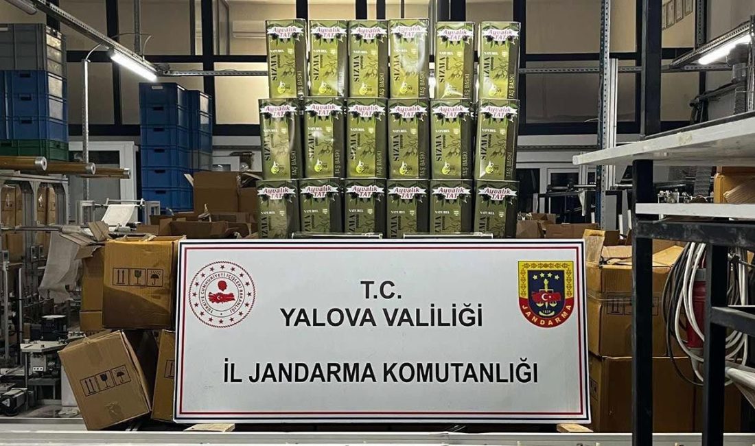 Yalova'da  İl Jandarma