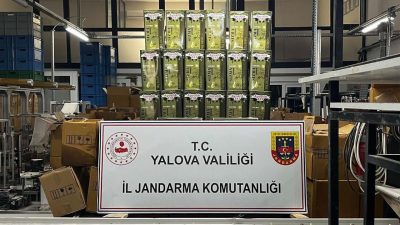 Yalova'da  İl Jandarma Komutanlığı tarafından bir depoya yapılan baskında