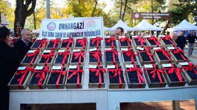 Bu yıl 46’ıncısı düzenlenecek olan ve daha önce 4 Kasım