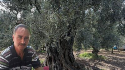 Bursa'nın Orhangazi ilçesinde meydana gelen olayda zeytin toplamak için çıktığı