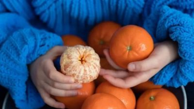 Aşağıda yer alan beslenme önerileri, bağışıklığınızı güçlendirebilir, soğuk kış aylarında