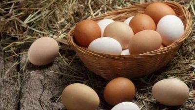Eylül ayında bir önceki yılın aynı ayına göre, tavuk yumurtası