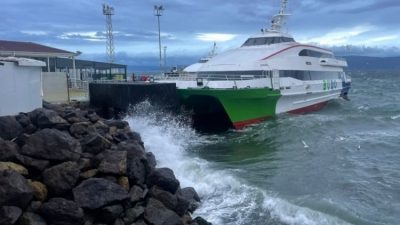 Bursa Büyükşehir Belediyesince Bursa ile İstanbul arasında işletilen deniz otobüsü