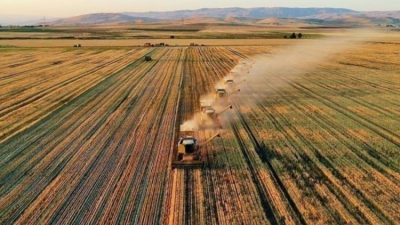 Tarım ve Orman Bakanlığı, çiftçilere yapılan destekleme ödemesi ile ilgili