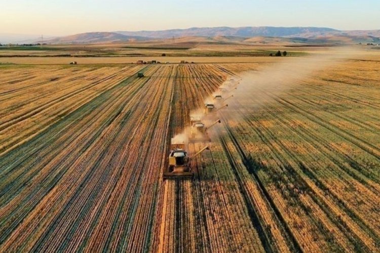 Tarım ve Orman Bakanlığı,