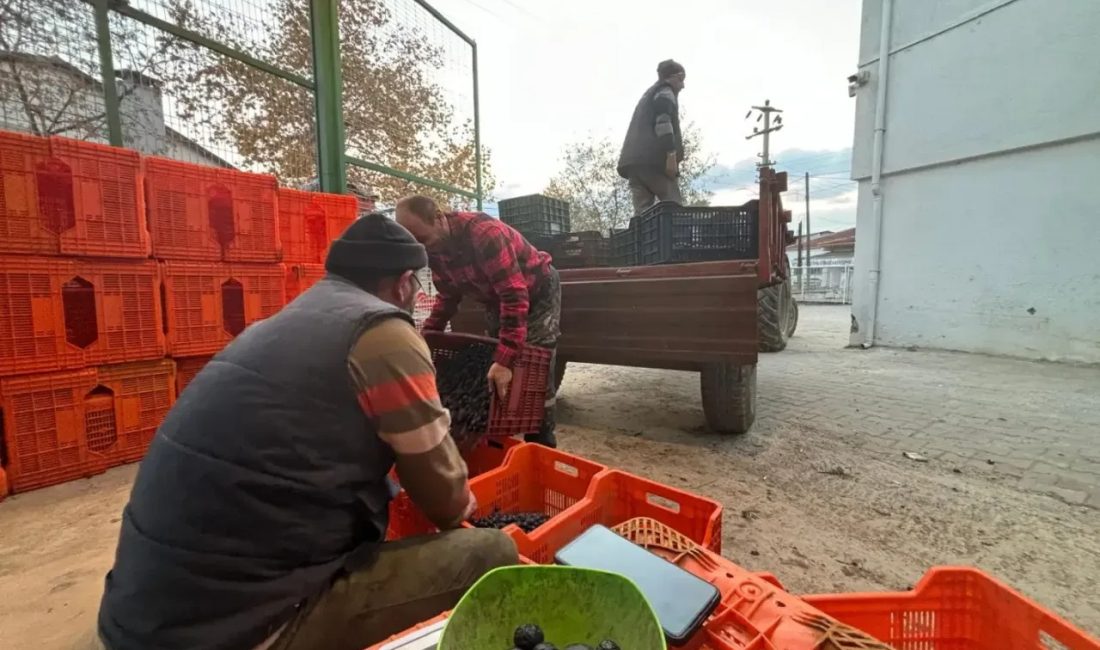 Geçtiğimiz hafta Tarım Kredinin