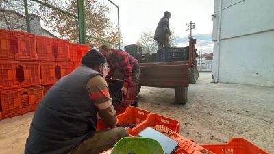 Geçtiğimiz hafta Tarım Kredinin zeytin alım fiyatlarını açıklamasının ardından, Bursa’nın