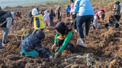 Bursa Büyükşehir Belediyesi’nin katkılarıyla İl Sağlık Müdürlüğü ve Bursa Tip