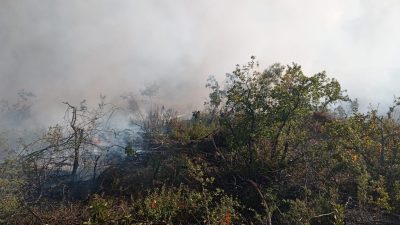 Bursa'da bugün öğle saatlerinde 4 farklı ilçede çıkan orman yangınları